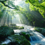 川に差し込む光