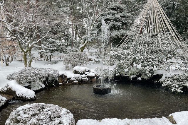 雪が降った日